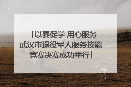 以赛促学 用心服务 武汉市退役军人服务技能竞赛决赛成功举行