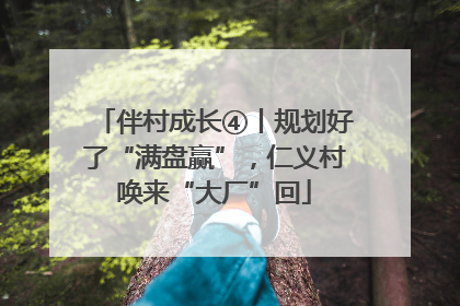 伴村成长④丨规划好了“满盘赢”，仁义村唤来“大厂”回