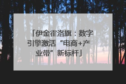 伊金霍洛旗：数字引擎激活“电商+产业带”新标杆