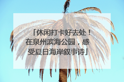 休闲打卡好去处！在泉州滨海公园，感受夏日海岸叙事诗