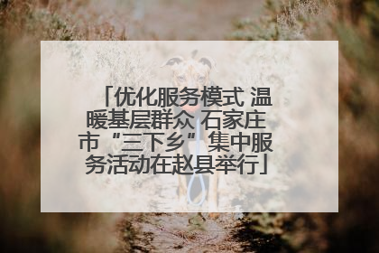 优化服务模式 温暖基层群众 石家庄市“三下乡”集中服务活动在赵县举行