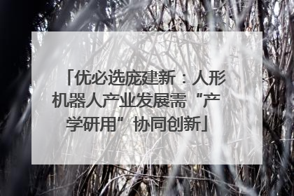 优必选庞建新：人形机器人产业发展需“产学研用”协同创新