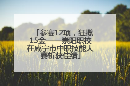 参赛12项，狂揽15金——崇阳职校在咸宁市中职技能大赛斩获佳绩