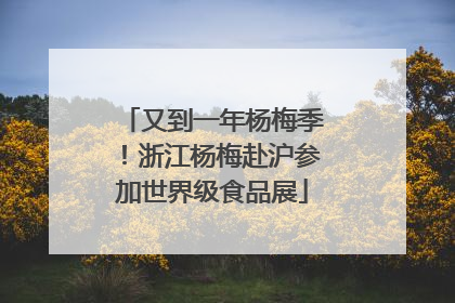 又到一年杨梅季！浙江杨梅赴沪参加世界级食品展