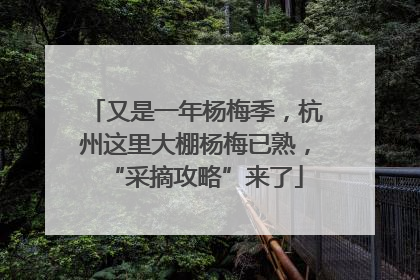 又是一年杨梅季，杭州这里大棚杨梅已熟，“采摘攻略”来了