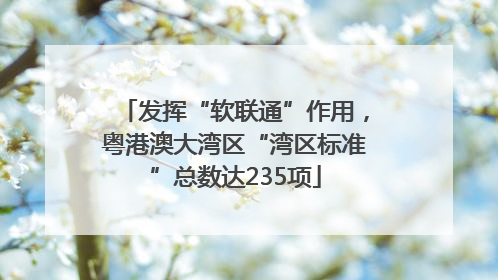 发挥“软联通”作用，粤港澳大湾区“湾区标准”总数达235项