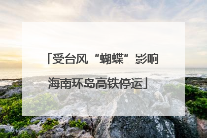 受台风“蝴蝶”影响 海南环岛高铁停运