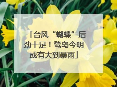 台风“蝴蝶”后劲十足！鹭岛今明或有大到暴雨
