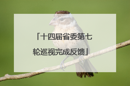 十四届省委第七轮巡视完成反馈