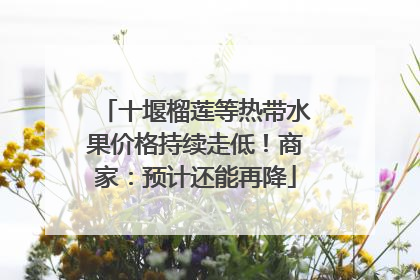 十堰榴莲等热带水果价格持续走低！商家：预计还能再降
