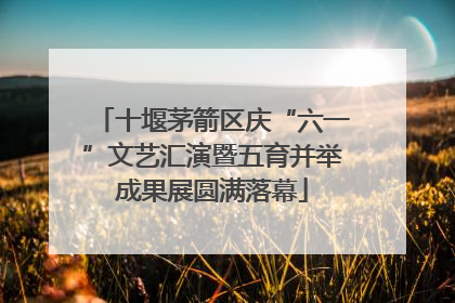 十堰茅箭区庆“六一”文艺汇演暨五育并举成果展圆满落幕