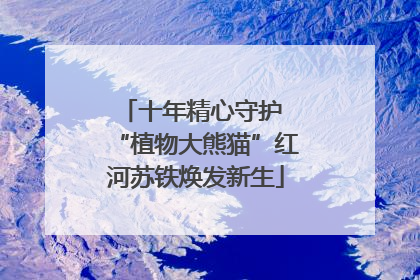 十年精心守护 “植物大熊猫”红河苏铁焕发新生