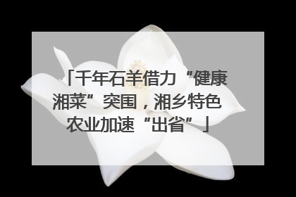 千年石羊借力“健康湘菜”突围，湘乡特色农业加速“出省”