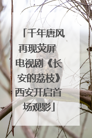 千年唐风再现荧屏 电视剧《长安的荔枝》西安开启首场观影