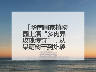 华南国家植物园上演“多肉界玫瑰传奇”，从呆萌树干到炸裂种子全是戏！