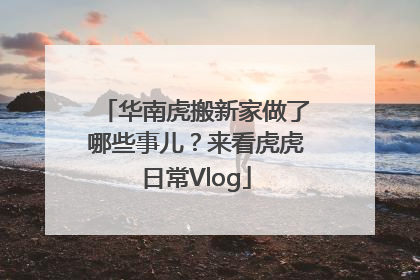 华南虎搬新家做了哪些事儿？来看虎虎日常Vlog