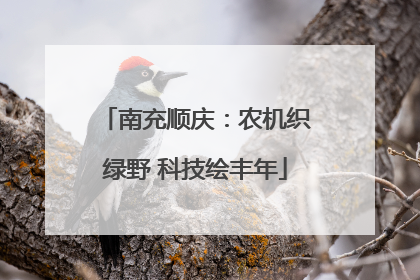南充顺庆：农机织绿野 科技绘丰年