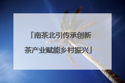 南茶北引传承创新 茶产业赋能乡村振兴