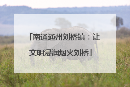 南通通州刘桥镇：让文明浸润烟火刘桥