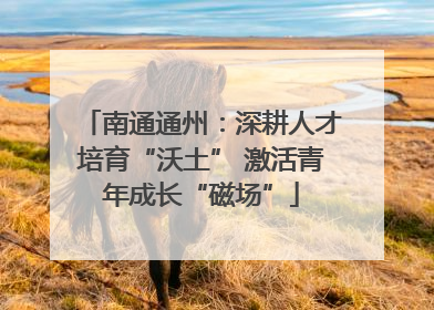 南通通州：深耕人才培育“沃土” 激活青年成长“磁场”