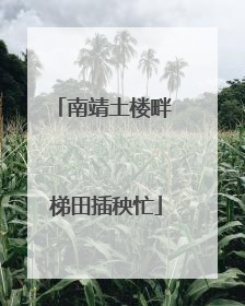 南靖土楼畔 梯田插秧忙