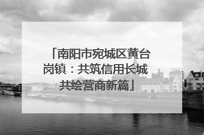 南阳市宛城区黄台岗镇：共筑信用长城 共绘营商新篇