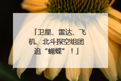 卫星、雷达、飞机、北斗探空组团追“蝴蝶”！