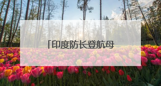 印度防长登航母表态：并未结束