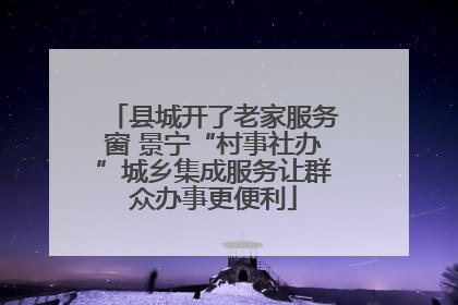 县城开了老家服务窗 景宁“村事社办”城乡集成服务让群众办事更便利