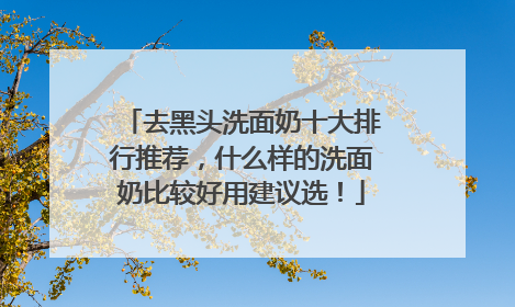 去黑头洗面奶十大排行推荐，什么样的洗面奶比较好用建议选！