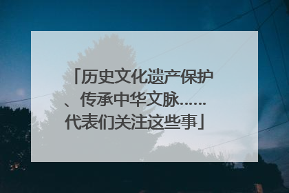 历史文化遗产保护、传承中华文脉……代表们关注这些事