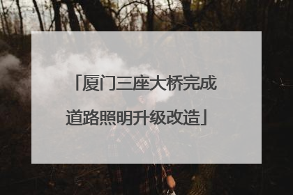 厦门三座大桥完成道路照明升级改造