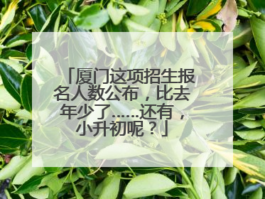厦门这项招生报名人数公布，比去年少了……还有，小升初呢？