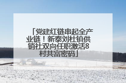 党建红链串起全产业链！新泰刘杜镇供销社双向任职激活8村共富密码