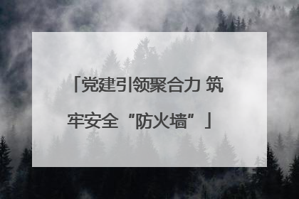 党建引领聚合力 筑牢安全“防火墙”
