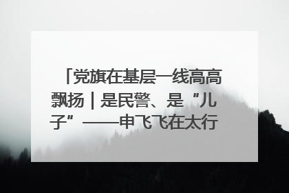 党旗在基层一线高高飘扬｜是民警、是“儿子”——申飞飞在太行山中的一线坚守