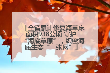 全省累计修复海草床面积938公顷 守护“海底草原”，织密海底生态“一张网”