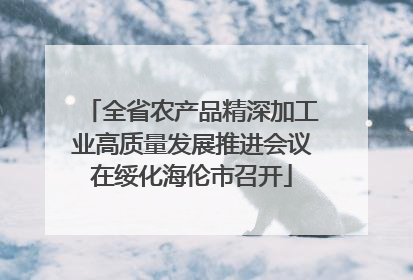 全省农产品精深加工业高质量发展推进会议在绥化海伦市召开