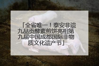 全省唯一！泰安非遗九品贡酵素煎饼亮相第九届中国成都国际非物质文化遗产节