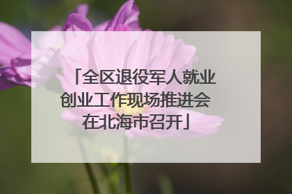 全区退役军人就业创业工作现场推进会在北海市召开