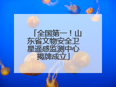 全国第一！山东省文物安全卫星遥感监测中心揭牌成立