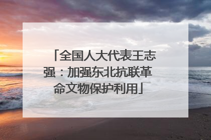 全国人大代表王志强：加强东北抗联革命文物保护利用