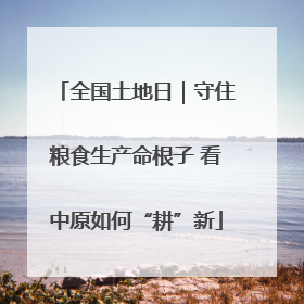 全国土地日｜守住粮食生产命根子 看中原如何“耕”新