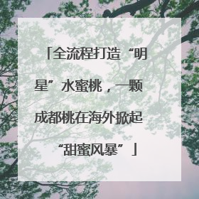 全流程打造“明星”水蜜桃，一颗成都桃在海外掀起“甜蜜风暴”