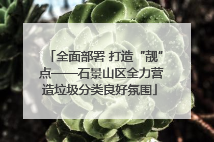 全面部署 打造“靓” 点——石景山区全力营造垃圾分类良好氛围