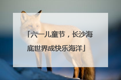 六一儿童节，长沙海底世界成快乐海洋