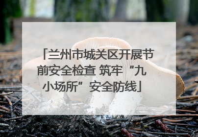兰州市城关区开展节前安全检查 筑牢“九小场所”安全防线