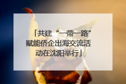共建“一带一路”赋能侨企出海交流活动在沈阳举行