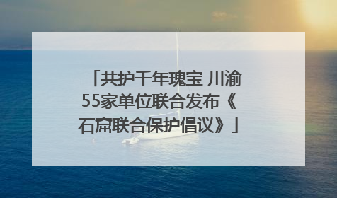 共护千年瑰宝 川渝55家单位联合发布《石窟联合保护倡议》