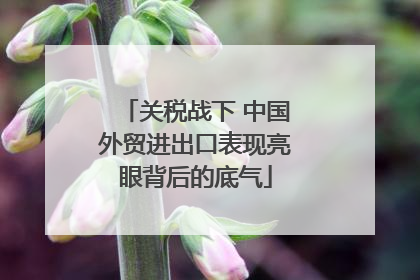 关税战下 中国外贸进出口表现亮眼背后的底气